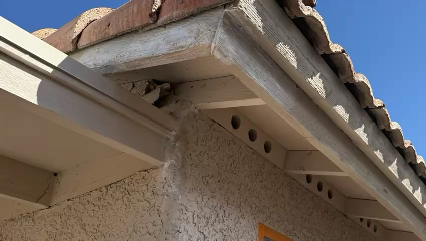 Arizona Pro1 Painting LLC. project